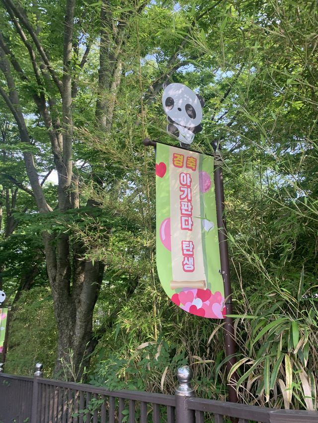 용인 놀이공원 :: 에버랜드🎡