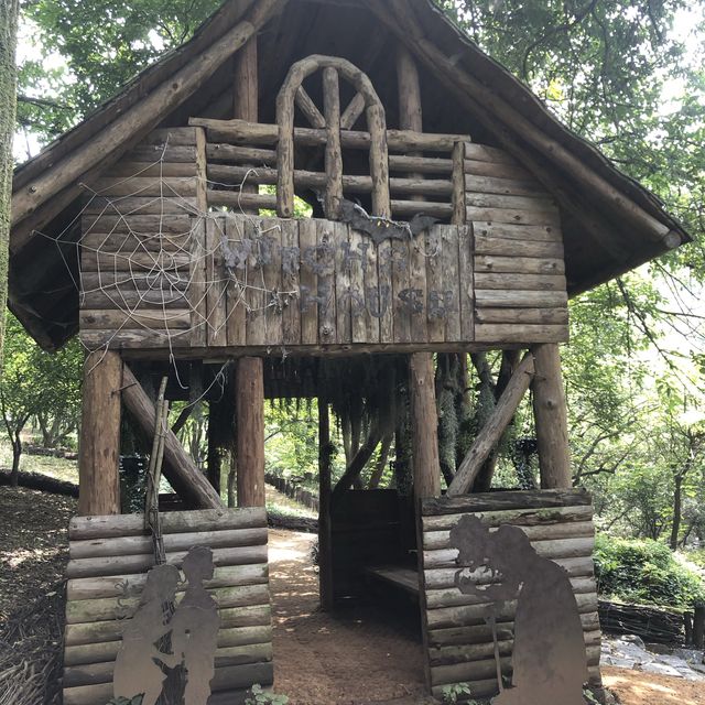 [춘천여행코스]제이드가든🌿&춘천 닭갈비코스🍖
