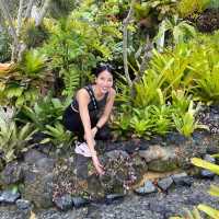 A cool respite within Botanic Gardens