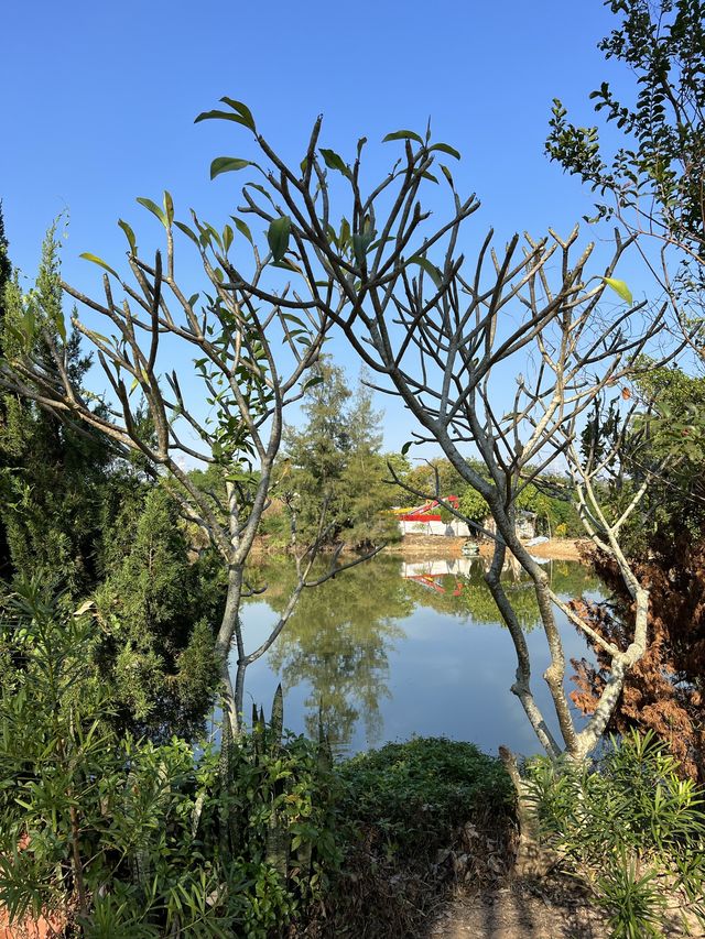何時·河地🏞 香港遠離塵囂的風景 📍上水