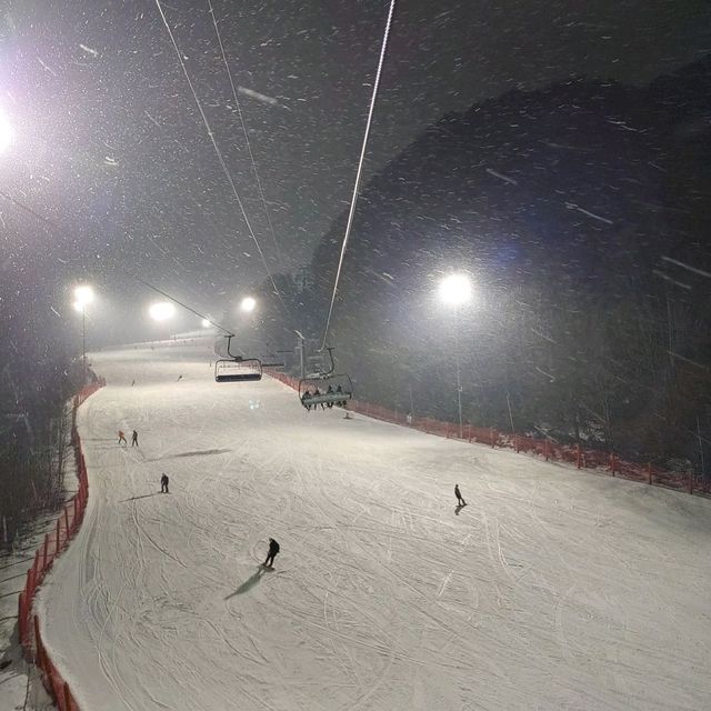 정선 하이원리조트: 엘사라도 나올 것 같은 겨울왕국❄️