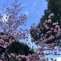 【東京】東京のど真ん中にある自然豊かな公園