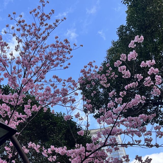 【東京】東京のど真ん中にある自然豊かな公園