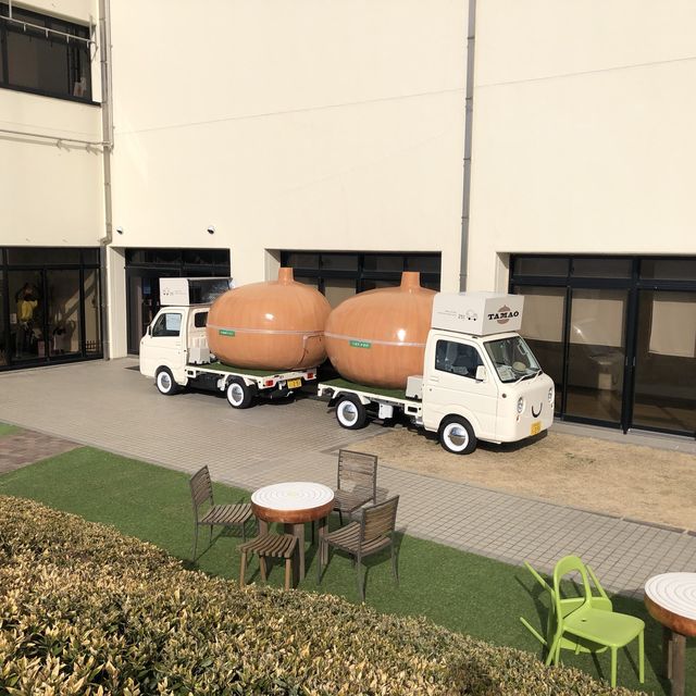 【淡路島】こんなところにおっ玉葱！？🧅