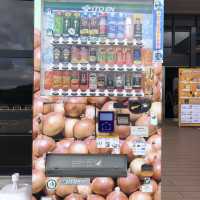 【淡路島】こんなところにおっ玉葱！？🧅