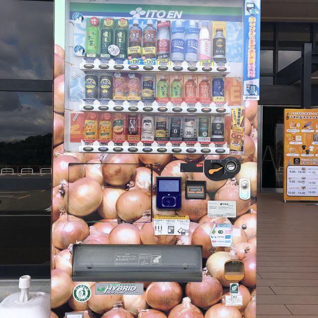 【淡路島】こんなところにおっ玉葱！？🧅