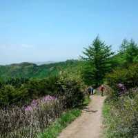 지리산 바래봉 등산 