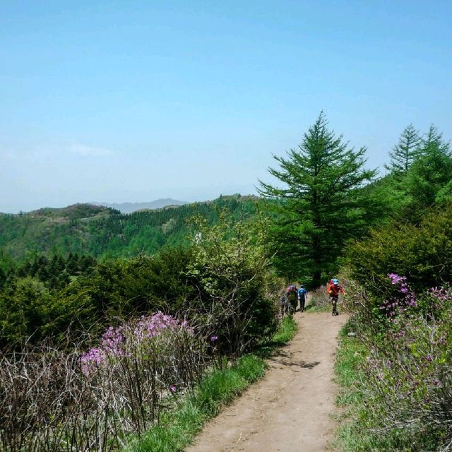 지리산 바래봉 등산 