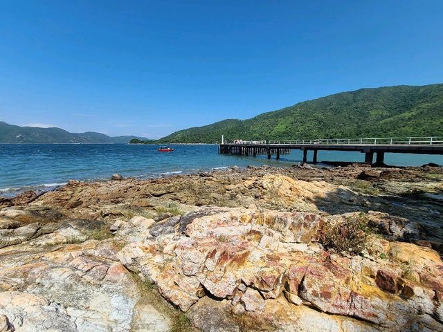 世外桃源系列~荔枝莊🏝️
