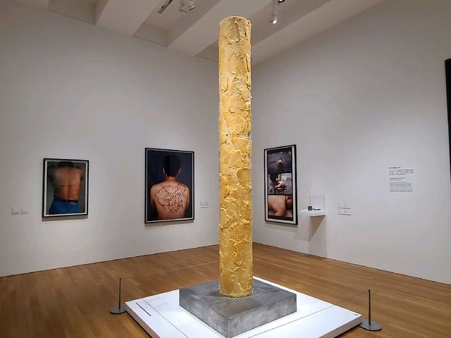 衝擊視覺新體驗👀~M➕博物館🏛️