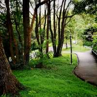 Hiking In Kent Ridge Park On Weekends 