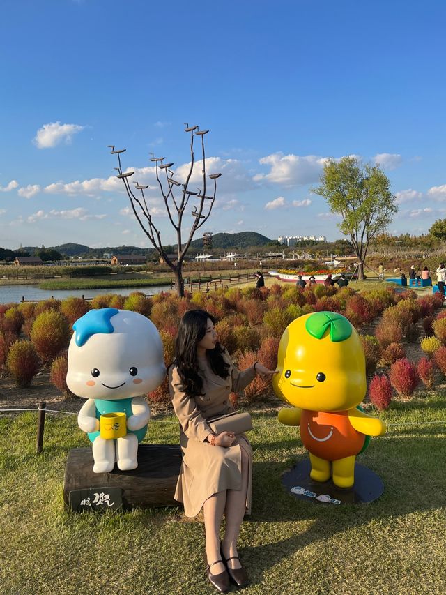 핑크뮬리 + 갈대밭 = 가을종합선물세트인 갯골생태공원✌️