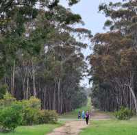 Sunset at Roxburgh Park Melbourne