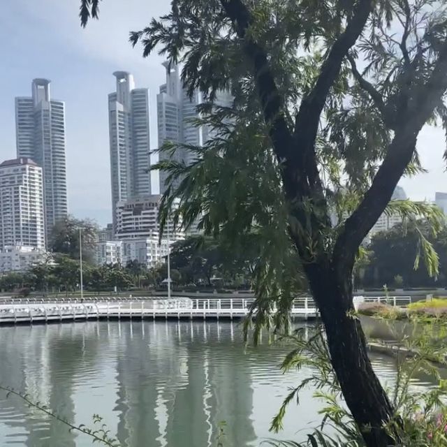 สวนป่าเบญจกิติ