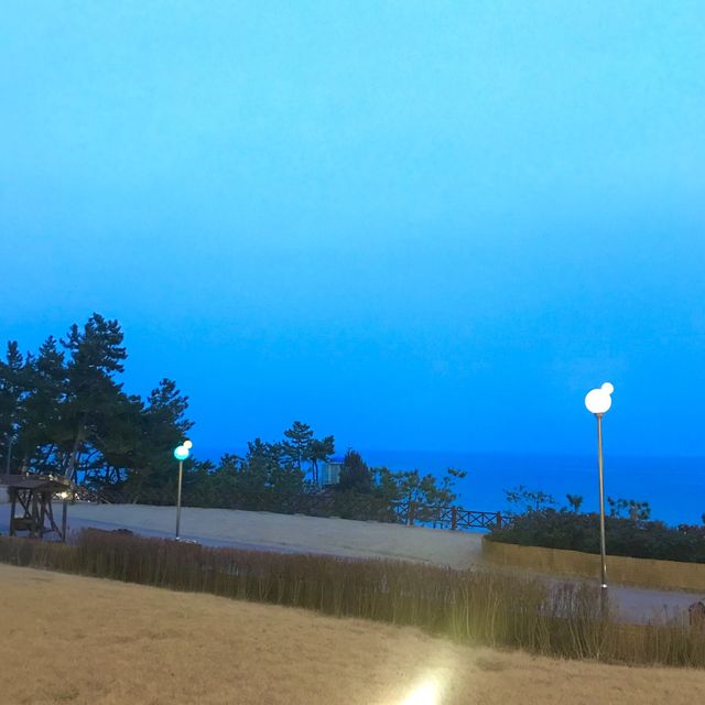 해외 느낌 가득 “쏠비치 삼척”🌊