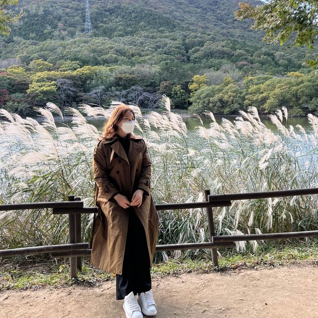 가을 냄새 폴폴 풍기던 진해 내수면환경생태공원