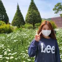 데이지와 함께하는 커피 피크닉🌼