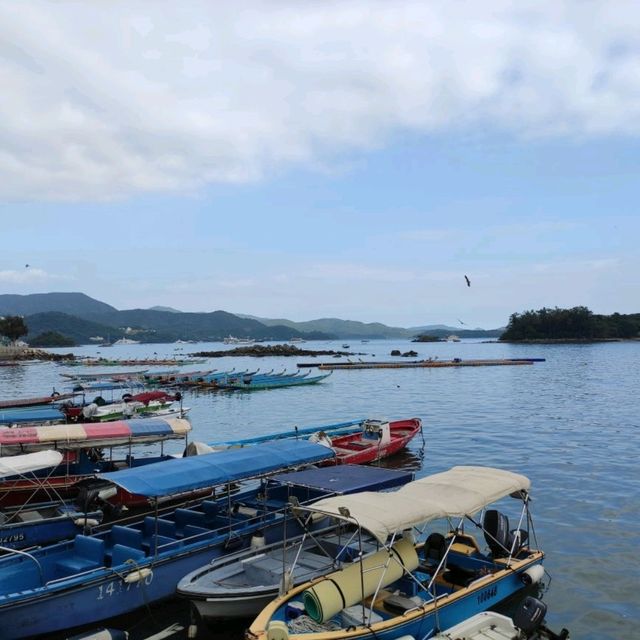 西贡水上海鲜