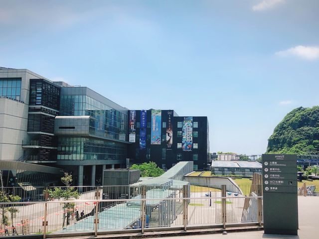 莎兒探路草 旅遊景點 國立海洋科技博物館
