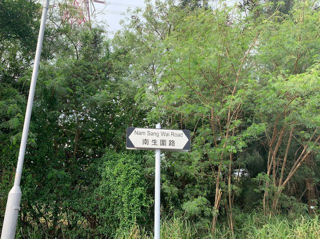 南生圍秋遊