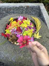【京都】正寿院散策