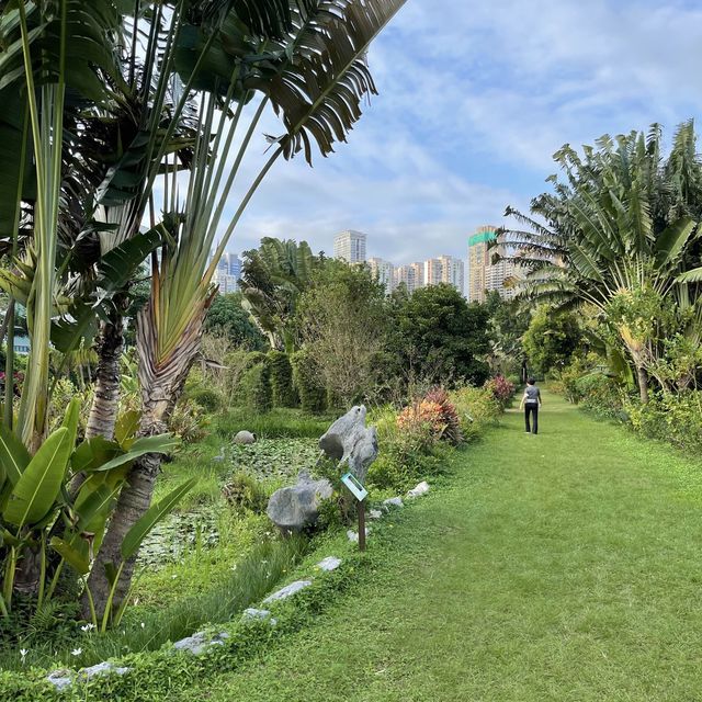 Macau Wetland of  Beach Avenue, Taipa