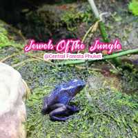 Aquaria Phuket