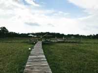 ร้านบรรยากาศ บ้านนา เมืองจันท์ "บ้านนากาแฟณจันท์" 