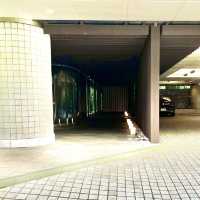 箱根強羅で癒しの旅を