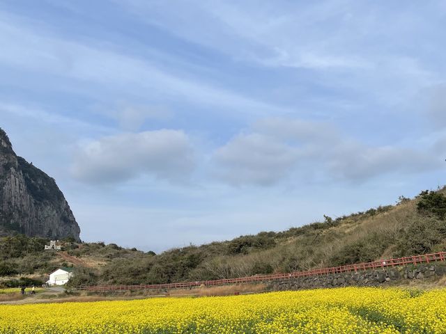 📍제주도 경치경관으러 최고인 산방산🏔