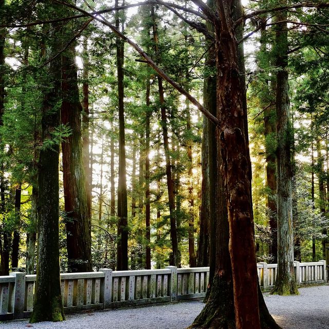 赤城神社(前橋市三夜沢町)