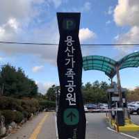 [가을을 흡수한 ‘용산가족공원’으로 떠나요!]