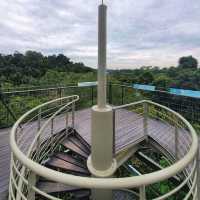 MacRitchie Reservoir