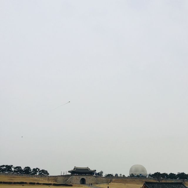 수원 행궁을 내려다 볼 수 있는 플라잉수원🎈