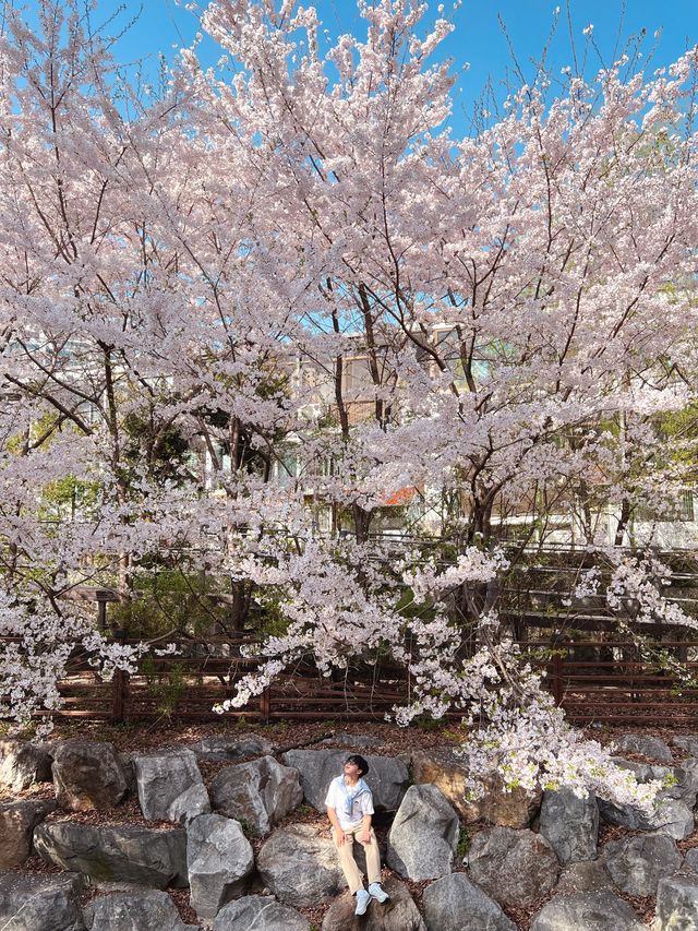 북한산과 정릉천이 이쁜 산책길 ‘정릉산책길’