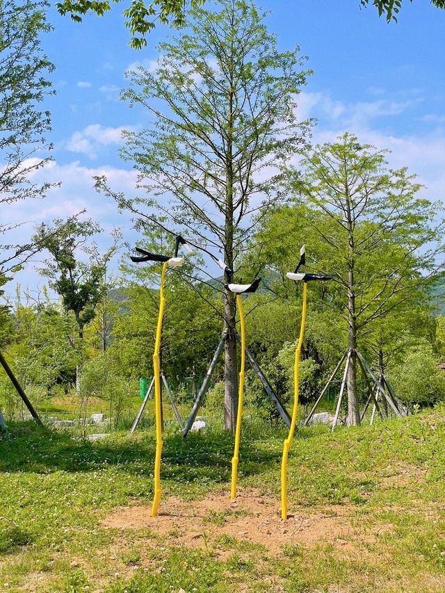 부산 봄나들이 가기 좋은 해운대 수목원 🌿