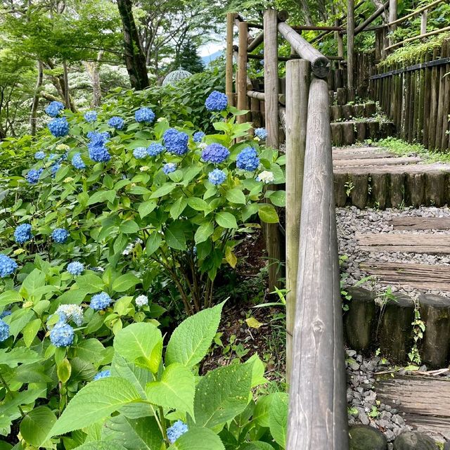 箱根ガラスの森美術館　エントランス　箱根