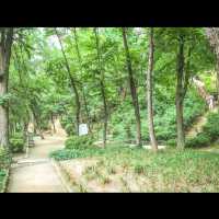 보코서울강남과 함께 한 플로깅 in 서울, 학동근린공원
