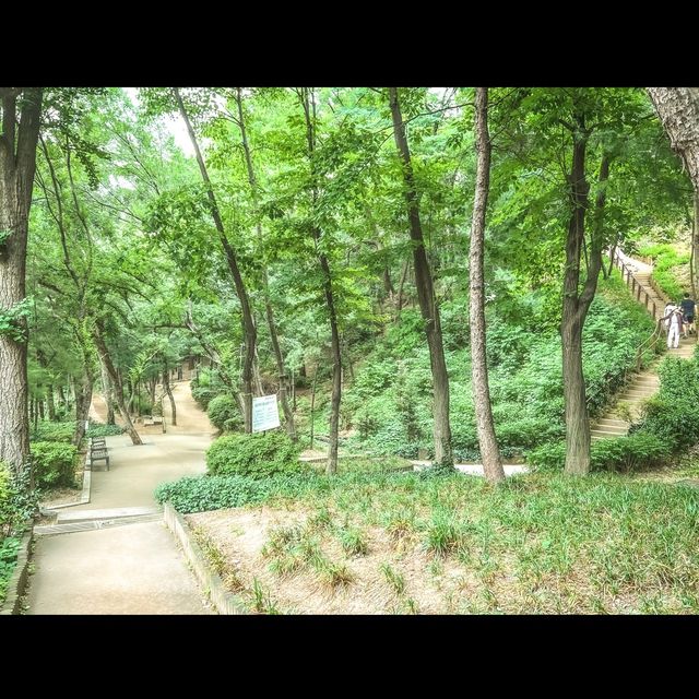 보코서울강남과 함께 한 플로깅 in 서울, 학동근린공원
