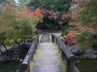 名古屋最大的日式庭園《白鳥庭園》