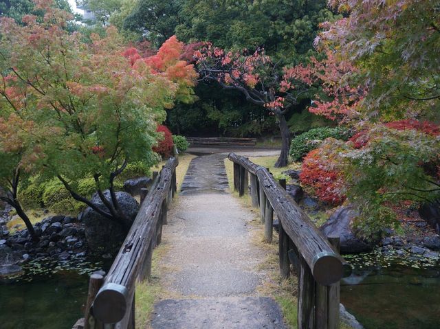 名古屋最大的日式庭園《白鳥庭園》