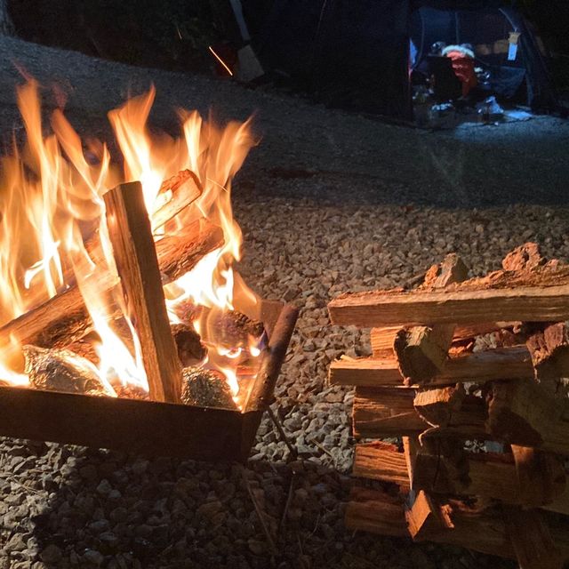 ⛺️캠핑은 이곳으로⛺️ 대부도 "바다향기캠핑장"