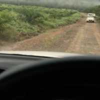 Tabin Wildlife Resort