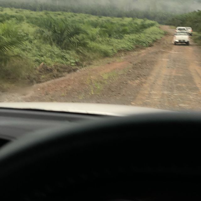Tabin Wildlife Resort