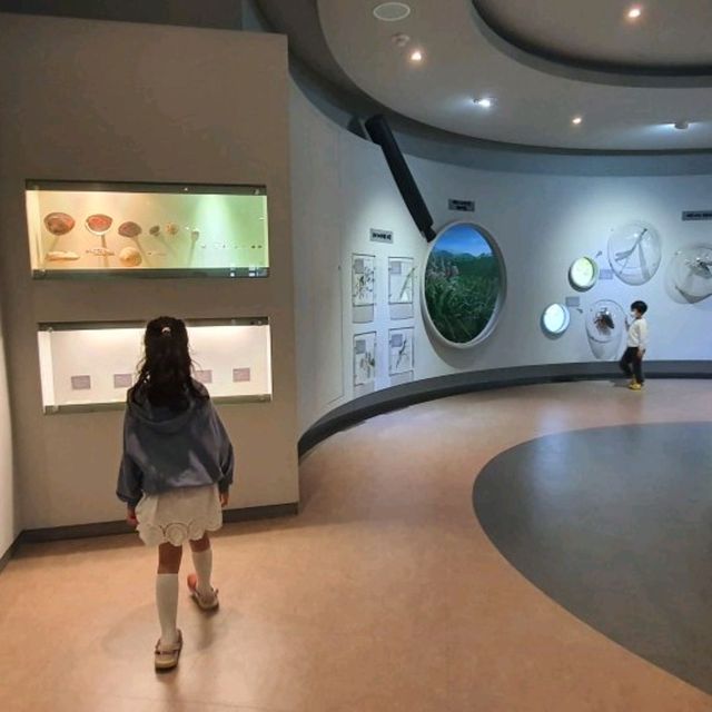 산림욕 하기 좋은 제주 한라수목원