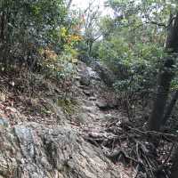 🇯🇵 參觀戰國名將的邸宅 — 岐阜公園及百曲登山道