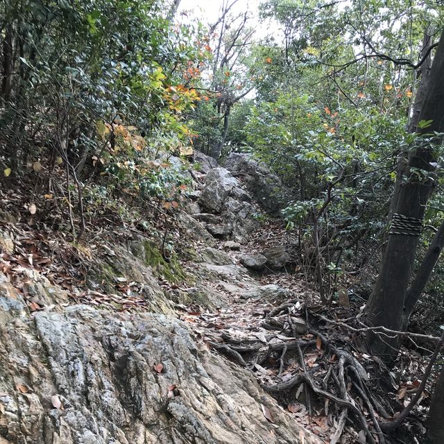 🇯🇵 參觀戰國名將的邸宅 — 岐阜公園及百曲登山道