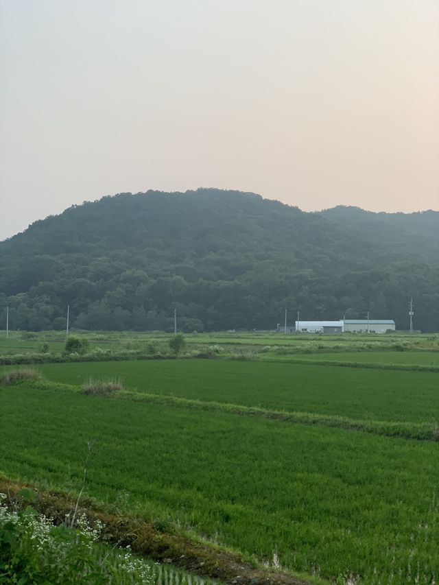 걷기 좋은 코스 🚶‍♀️나진포천