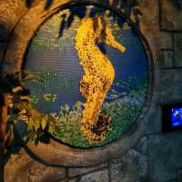Find The Lego Figurines Located In Sealife