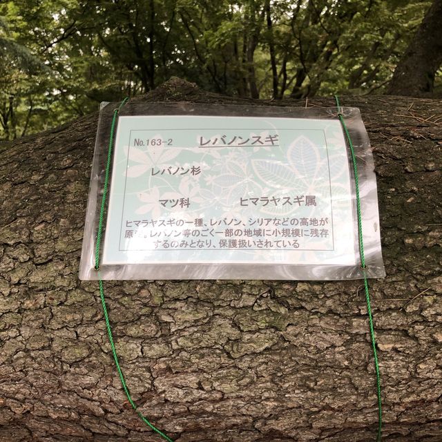 【きぬた公園】 【きぬた公園】
